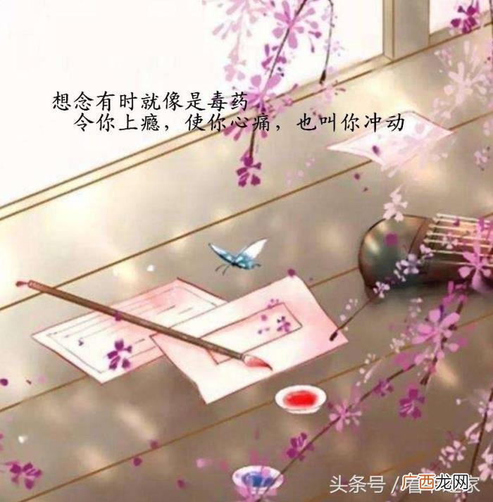 我们心中都有一个坟 我的心中有座坟