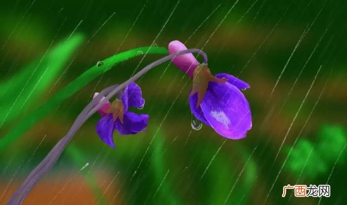 关于春雨的10首诗词 形容春雨