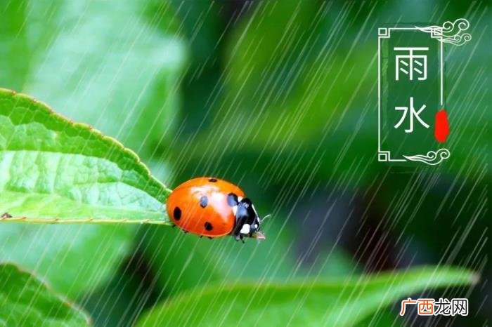 关于春雨的10首诗词 形容春雨