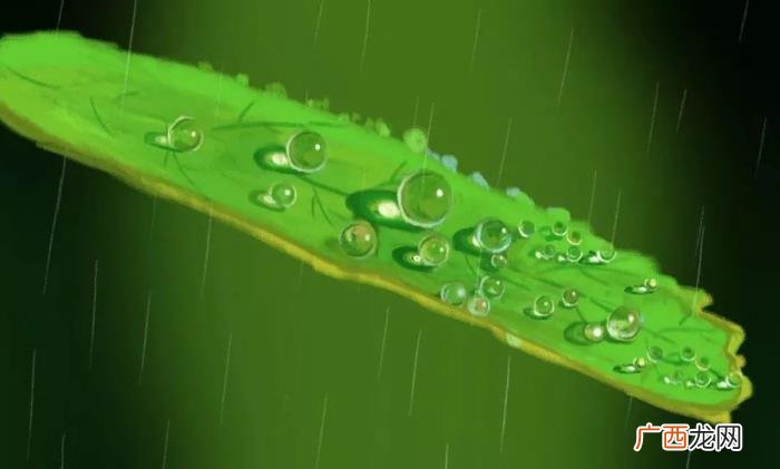 关于春雨的10首诗词 形容春雨