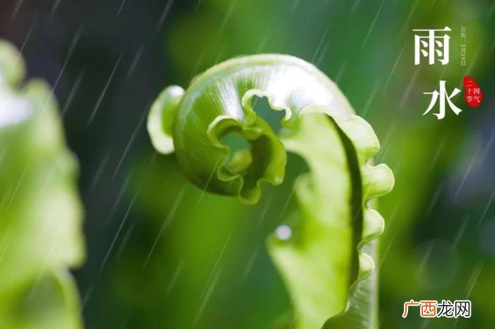 关于春雨的10首诗词 形容春雨