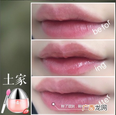 土家硒泥坊唇膜和兰芝唇膜哪个好？土家硒泥坊唇膜和兰芝对比