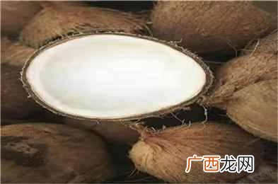如何简单有效利用椰子?椰子有哪些被忽略的价值?