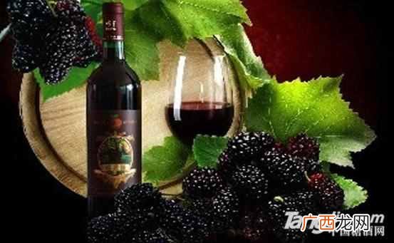 自酿少量果酒的做法？各类果酒制作配方大全
