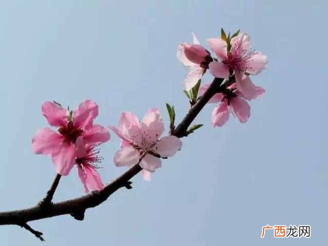 如何转运？民间常用的八个转运聚财办法