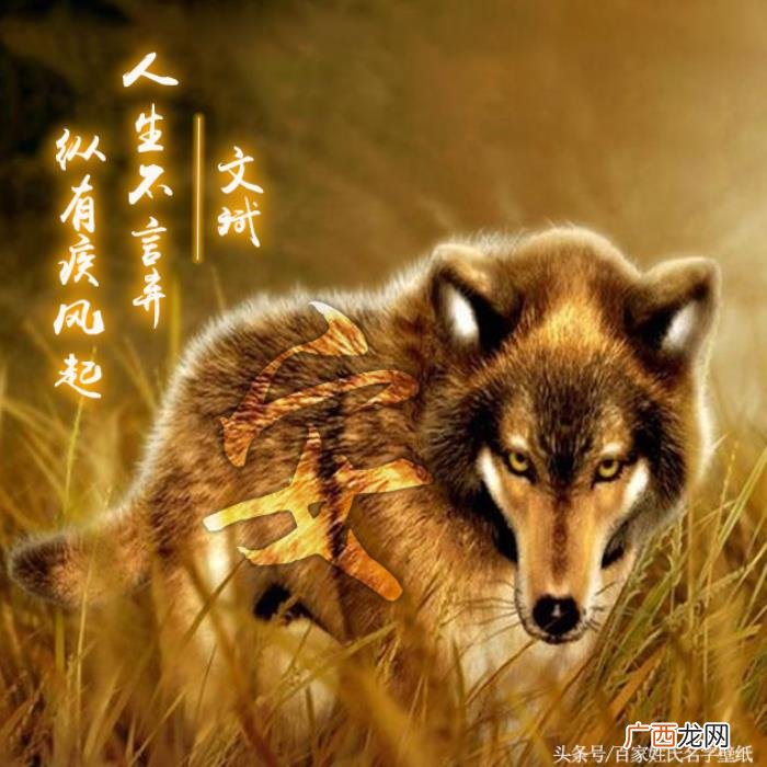 多款霸气、狼性、大气微信头像 霸气配图