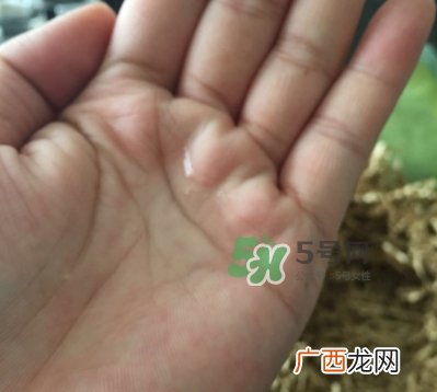 菌菇水是哪个国家的？悦木之源菌菇水是日本的吗