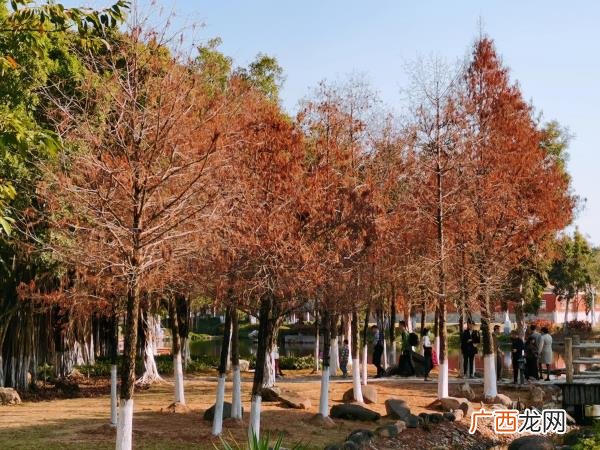 爱一个人怎么办，忘了如何去爱一个人怎么办