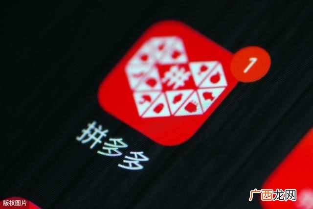 刘强东赌对了,4年养大的独角兽正式诞生,有望成第二个拼多多?