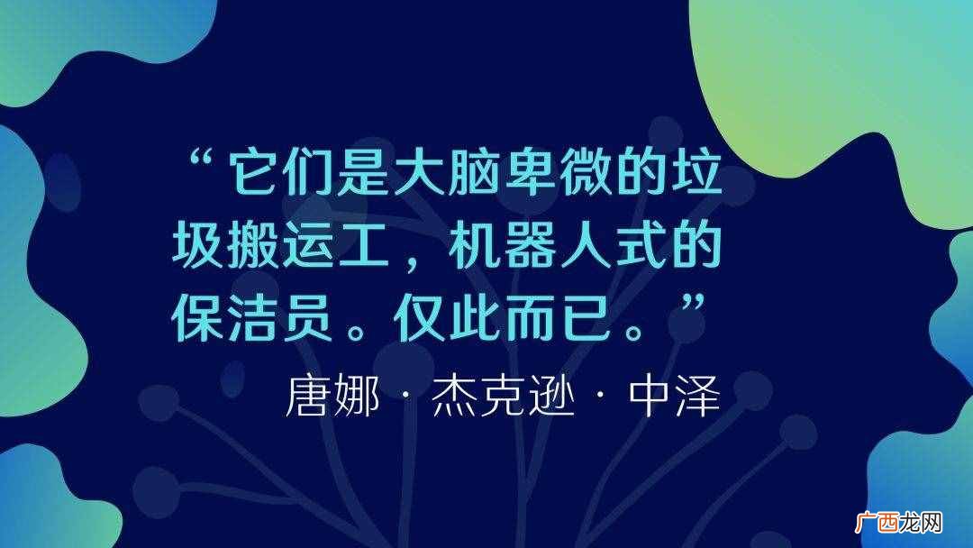 这个大脑中的“扫地和尚”可能是许多疾病的杀手？