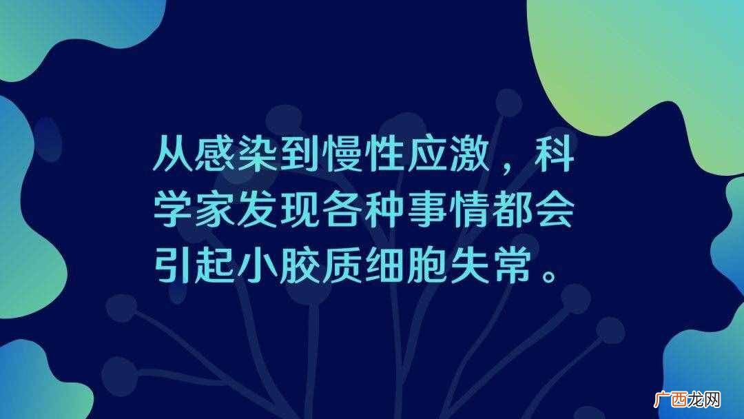 这个大脑中的“扫地和尚”可能是许多疾病的杀手？