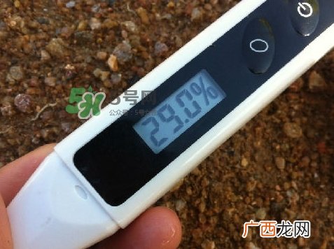玫琳凯双天后是什么?玫琳凯双天后怎么样