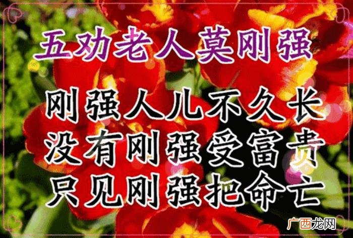 送给所有中老年朋友 活出老年精彩的句子