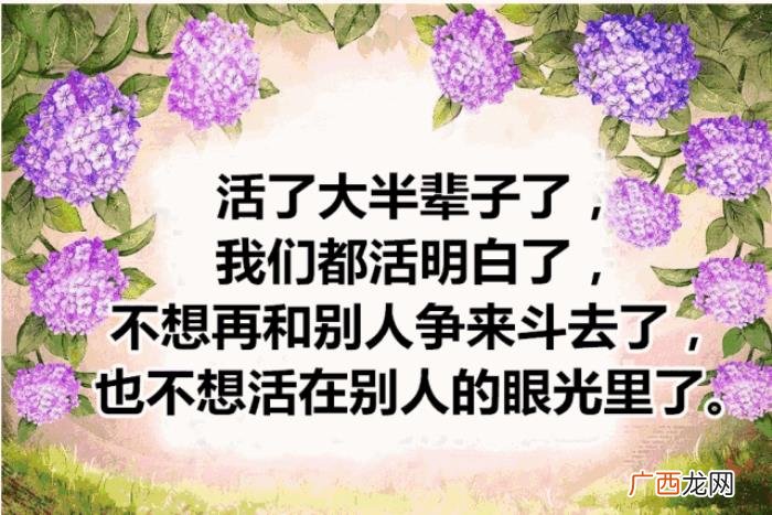 送给所有中老年朋友 活出老年精彩的句子