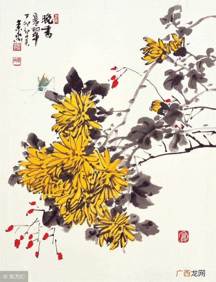 送给所有中老年朋友 活出老年精彩的句子