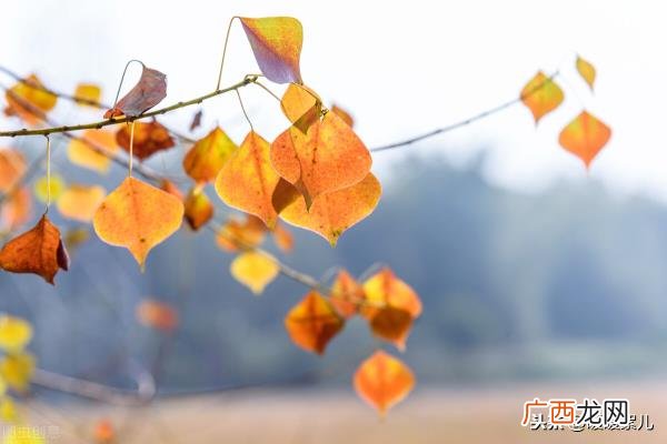 爱一个人只要他过得好，爱一个人就是