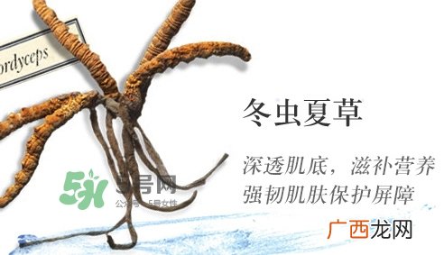 菌菇水湿敷痘更严重 菌菇水爆痘