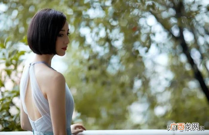 杨紫佟丽娅，杨紫李现、徐峥陶虹、陈思诚佟丽娅