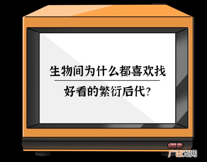 男人为什么喜欢女人，为什么男人更喜欢漂亮的女人