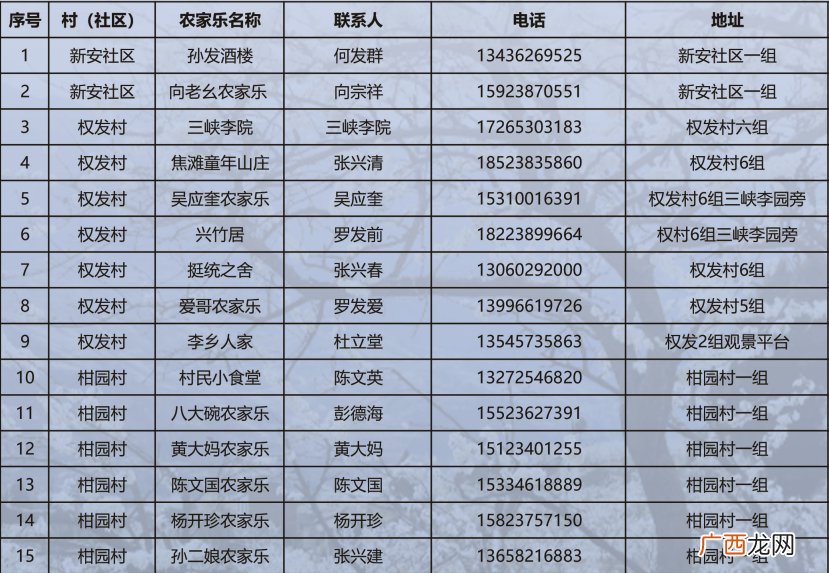 重庆巫山曲尺乡李花周边农家乐