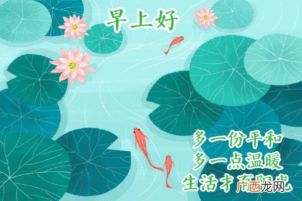 爱意的问候早上好，清早很美的早上好问候语图片大全