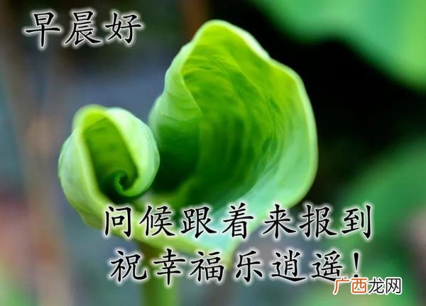 爱意的问候早上好，清早很美的早上好问候语图片大全