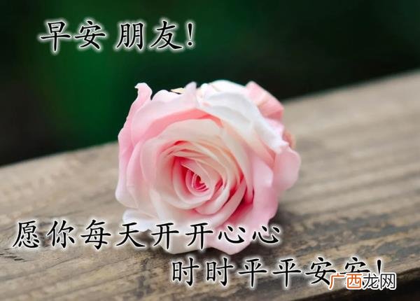 爱意的问候早上好，清早很美的早上好问候语图片大全