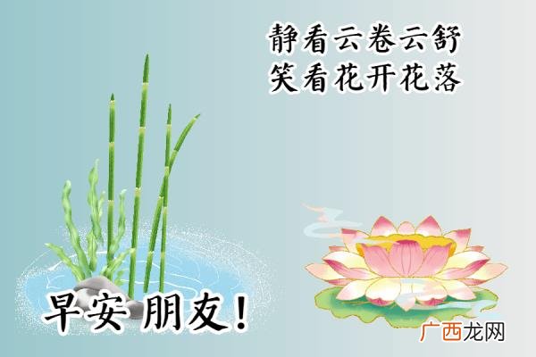 爱意的问候早上好，清早很美的早上好问候语图片大全