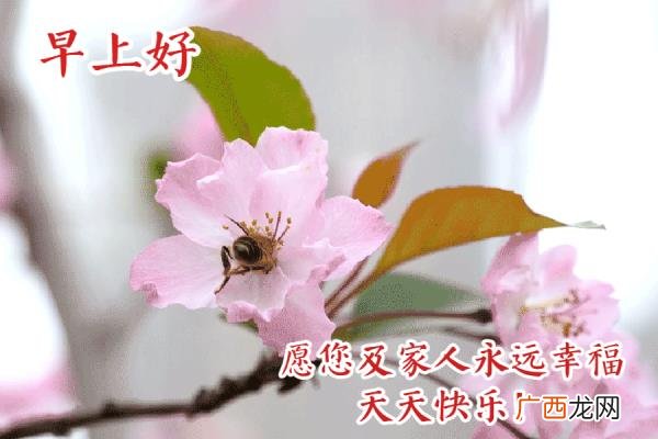 爱意的问候早上好，清早很美的早上好问候语图片大全