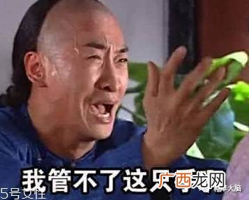 小气泡是什么 小气泡去黑头有效吗