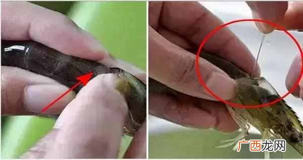 怎么剔除虾线？？手把手教你最强去虾线方法！