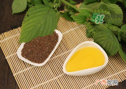 紫苏水可以天天用吗？紫苏水的功效与作用