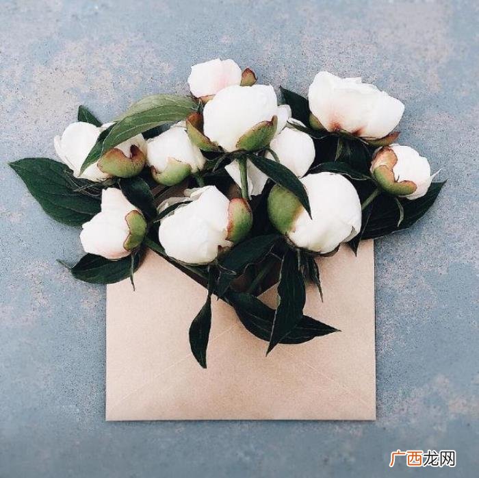 最经典的母亲节祝福语 祝福妈妈