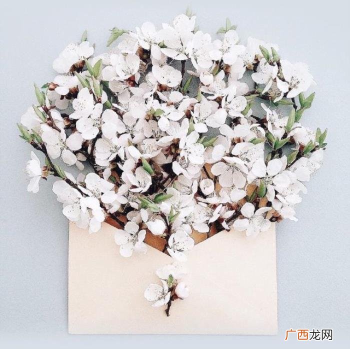 最经典的母亲节祝福语 祝福妈妈