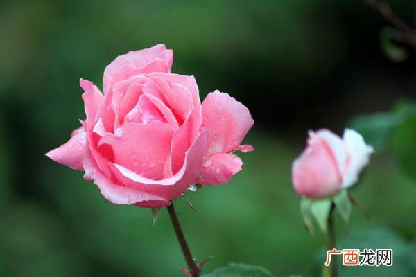 暧昧的男女合伙人，男女关系变得暧昧