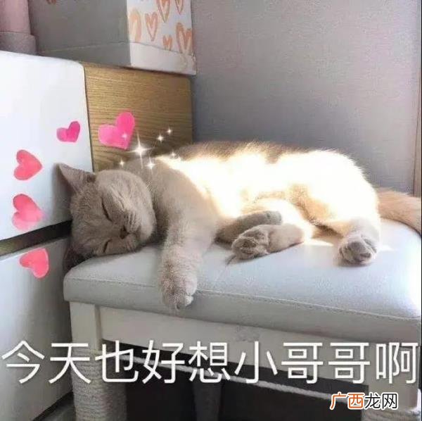 暧昧表情包,给暧昧对象发的表情包4