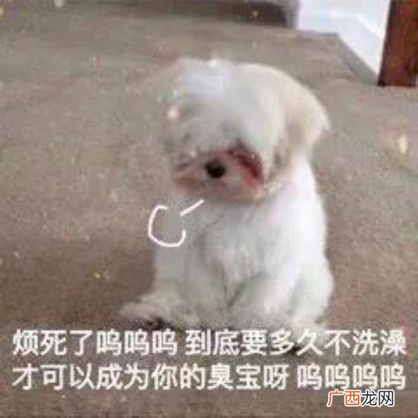 暧昧表情包,给暧昧对象发的表情包4