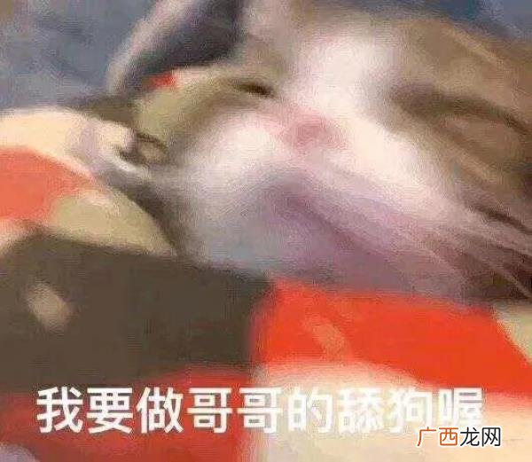 暧昧表情包,给暧昧对象发的表情包4