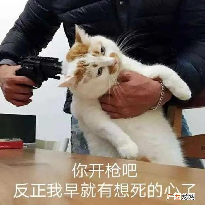 对方删好友怎么挽回，分手后被拉黑删除好友
