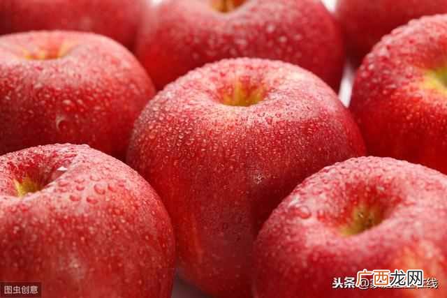吃什么最养胃修复胃？7种食物，让胃好好“补一补”