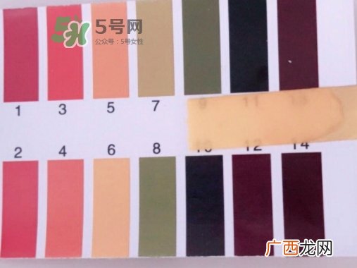 hr绿宝瓶新肌水怎么用？赫莲娜绿宝瓶新肌水使用方法
