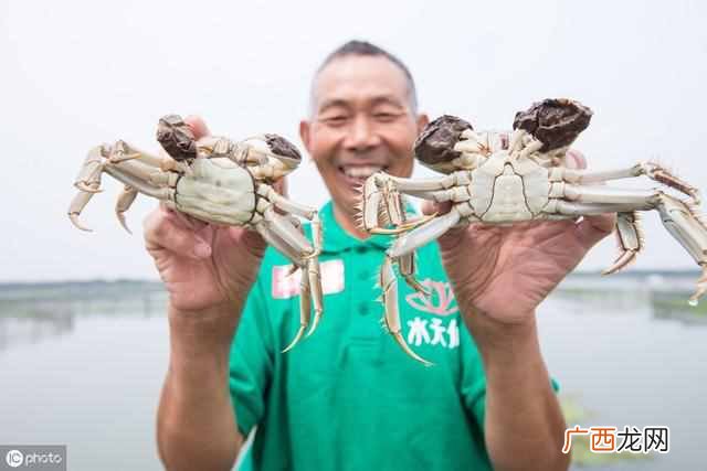 什么值得买怎么赚佣金？内容电商真能赚到钱？