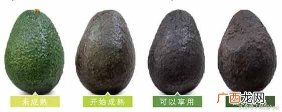 牛油果怎么吃减肥？减肥圣果-牛油果，到底应该怎么吃？