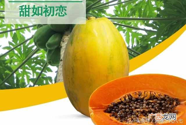 怎样吃木瓜丰胸最有效？女人丰胸吃木瓜有用吗？