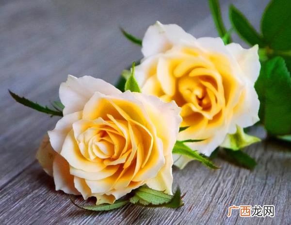 暧昧断联后男生又回头联系你，暧昧到断联
