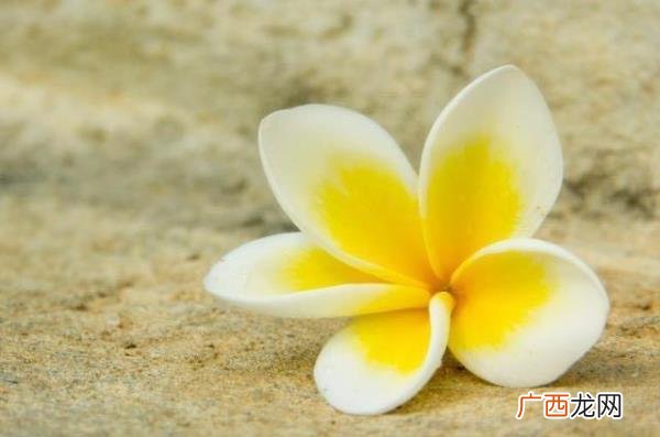 暧昧断联后男生又回头联系你，暧昧到断联