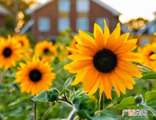 暧昧断联后男生又回头联系你，暧昧到断联