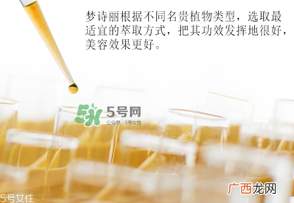 梦诗丽是什么品牌_哪里的牌子_几线品牌