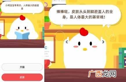 冰糖葫芦最开始是什么？支付宝蚂蚁庄园今日答案