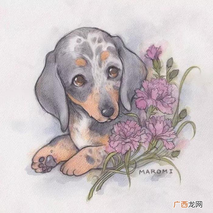 简短好笑的个性签名 好笑的个性签名